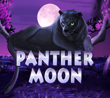 Panther Moon RTP
