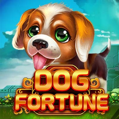DOG FORTUNE RTP