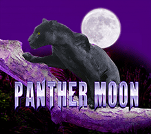 PANTHER MOON RTP