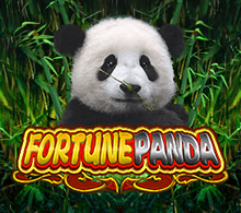 FORTUNE PANDA RTP