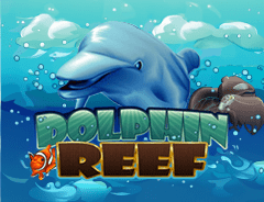 dolphin reef RTP