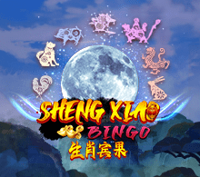 SHENG XIAO BINGO RTP