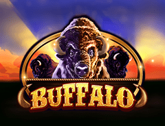buffalo RTP