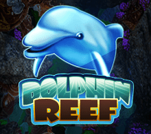 Dolphin Reef RTP