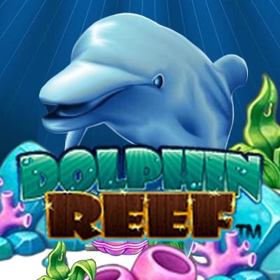 DOLPHIN REEF RTP