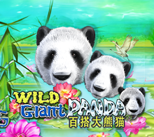 Wild Giant Panda RTP